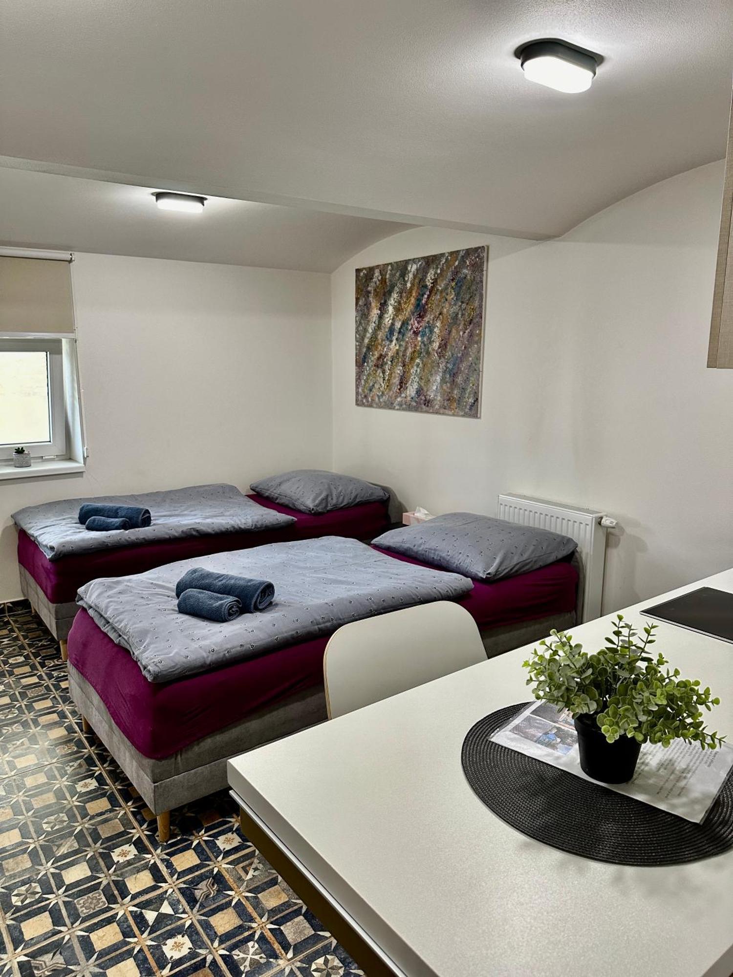 Apartment Palac Anezka A1